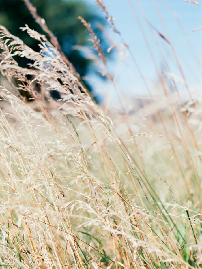 Mariage-touraine-DIY